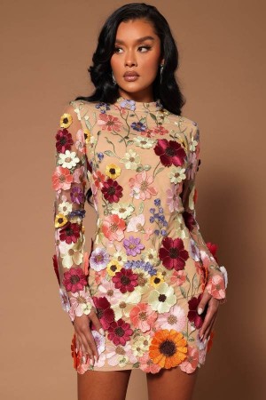 Beige Fashion Nova Emmaline Embroidered Mini Women Dress USA | 279081CBH